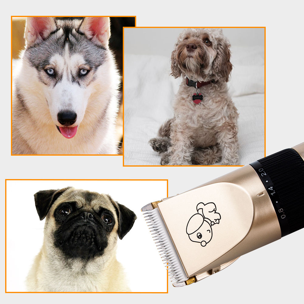 Electrical Dog Hair Trimmer USB Charging Pet Hair Clipper Rechargeable Low-noise Cat Hair Remover